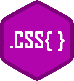 CSS