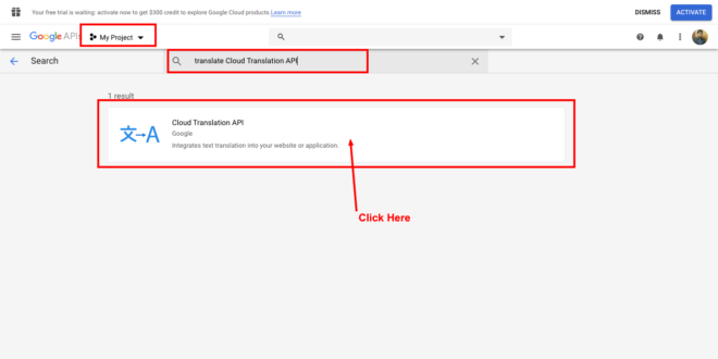 Google Translate API