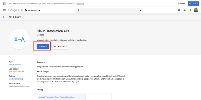 Google Translate API