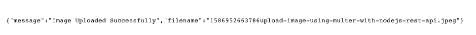 File Upload in Node.js using Multer