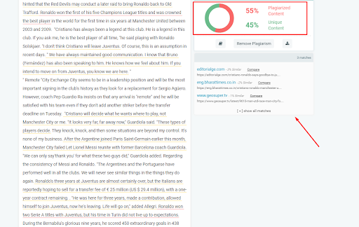 Plagiarism Checkers