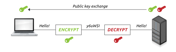 Encrypt Everything