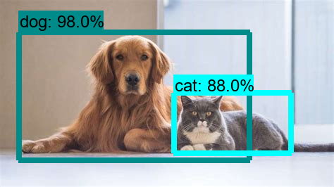 Object Detection