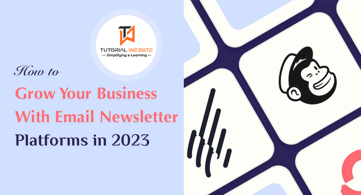 Grow Your Business With Email Newsletter Platforms