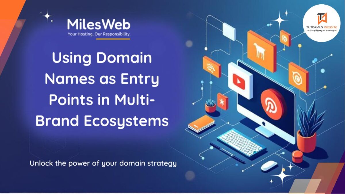 Using Domain Names as Entry Points in Multi-Brand Ecosystems