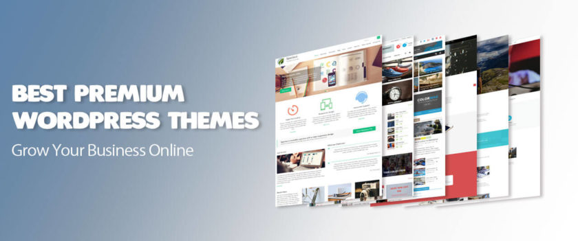 best-premium-wordpress-themes1